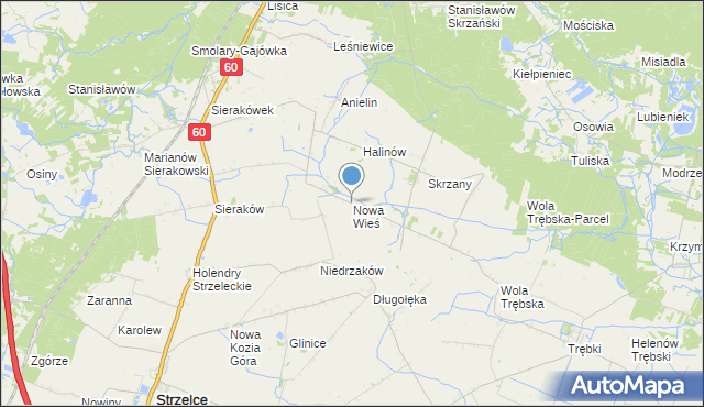 mapa Nowa Wieś, Nowa Wieś gmina Gostynin na mapie Targeo